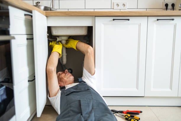 Best Leak Detection Services  in Plattsmouth, NE
